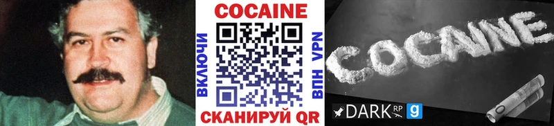 Купить закладки  Вельск  COCAIN FishScale 