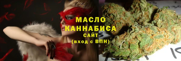 сатива Инсар