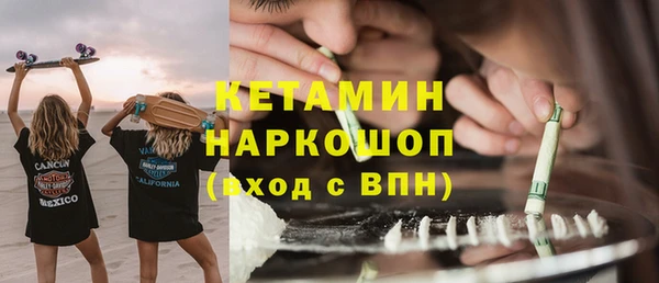 сатива Инсар