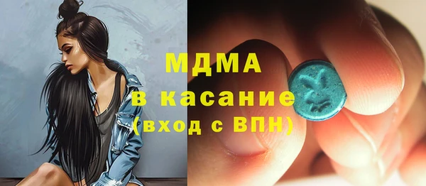 сатива Инсар