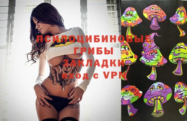 сатива Инсар