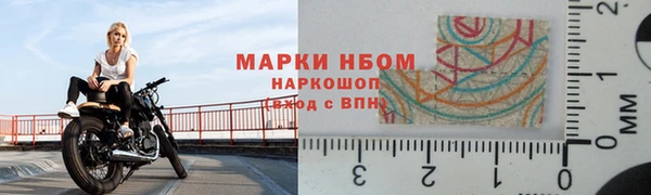 сатива Инсар