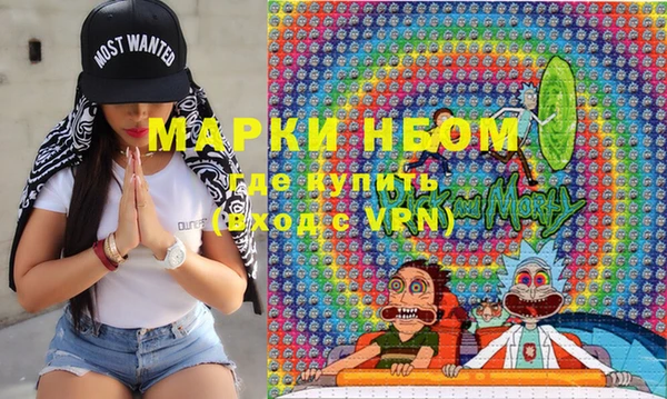 сатива Инсар