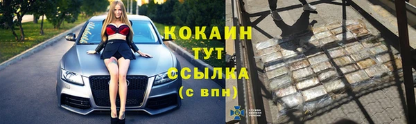 МДПВ Инта