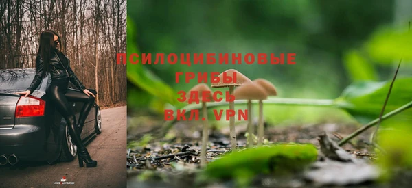 сатива Инсар