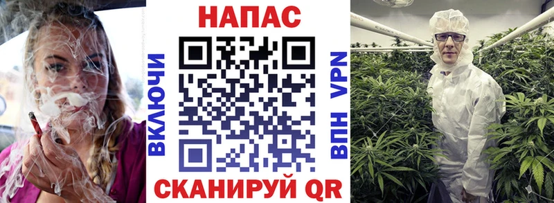 Купить закладки  Вельск  Бошки марихуана VHQ 